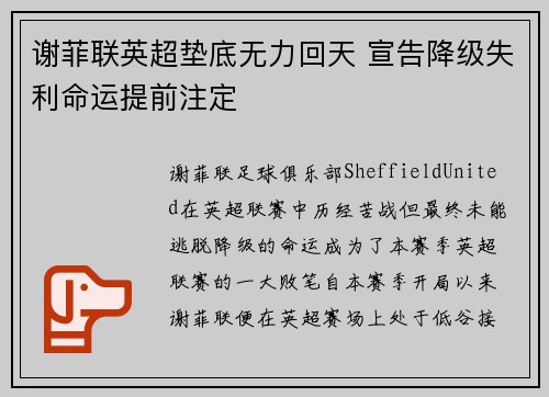 谢菲联英超垫底无力回天 宣告降级失利命运提前注定